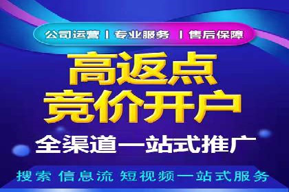 探索SEO在移动端的优化策略——成功案例分享